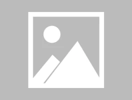 SpaceX's Starship Test Flight 11: Analyzing the Flight Data and Defining 'Success'